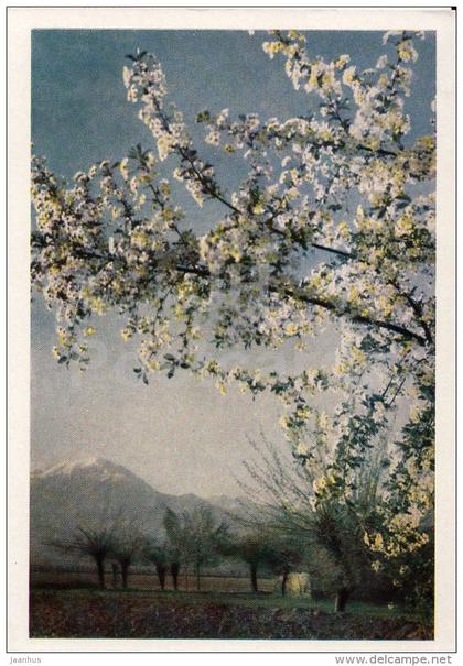 Spring in the Pamirs - 1961 - Tajikistan USSR - unused