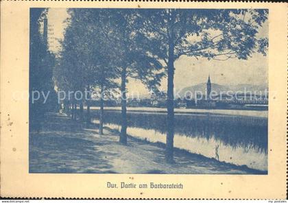 Dux Sudeten Barbarateich