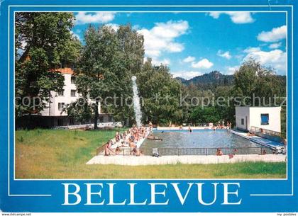 Jetrichovice Pension Bellevue
