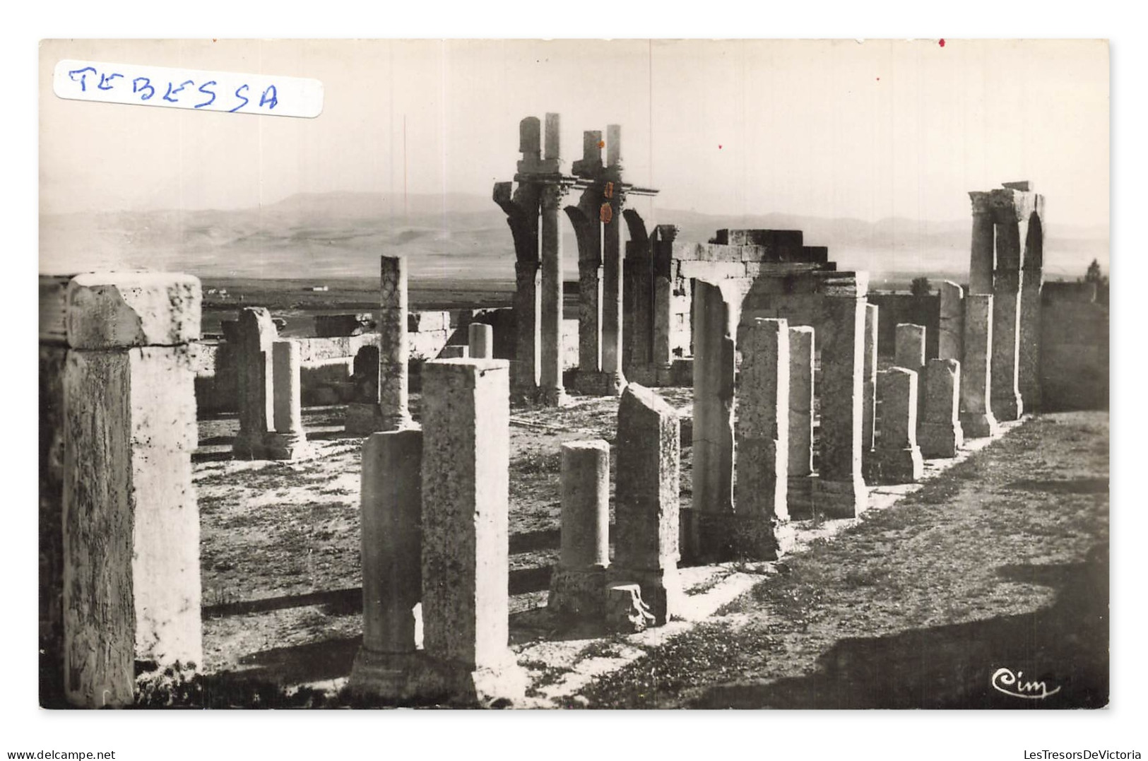 Tébessa – Ruines de la Basilique, la nef – Algérie