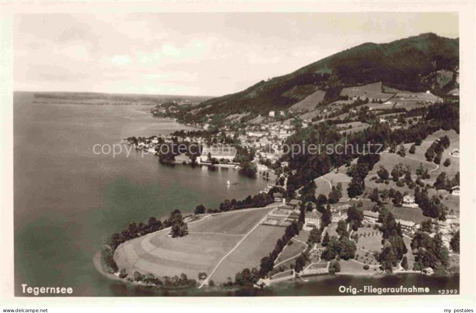 Tegernsee Bayern Tegernsee See Stadtansicht Ufer Wald Huegel