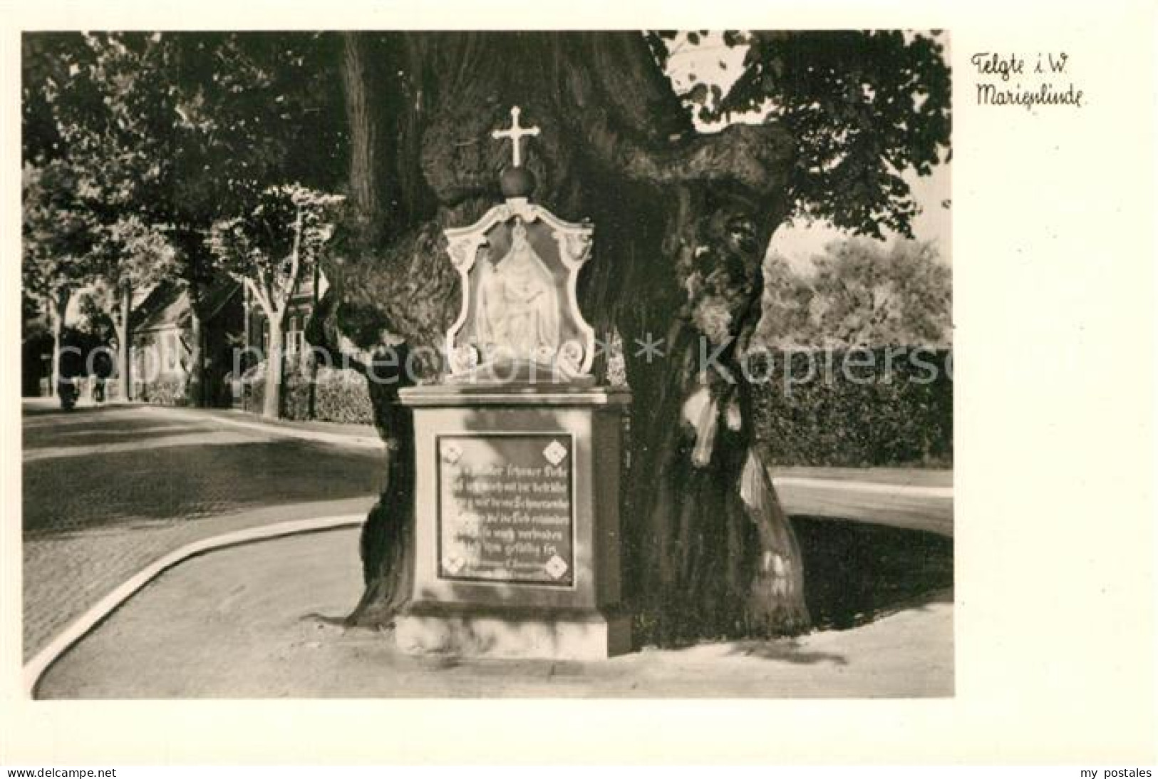 Telgte Peine Marienlinde