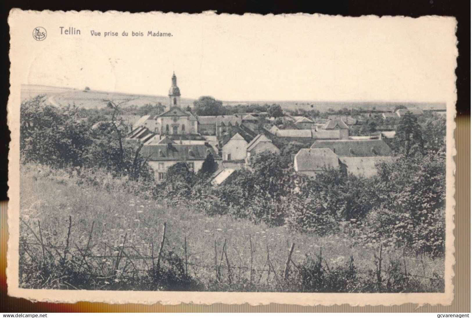 TELLIN  VUE PRISE DU BOIS MADAME