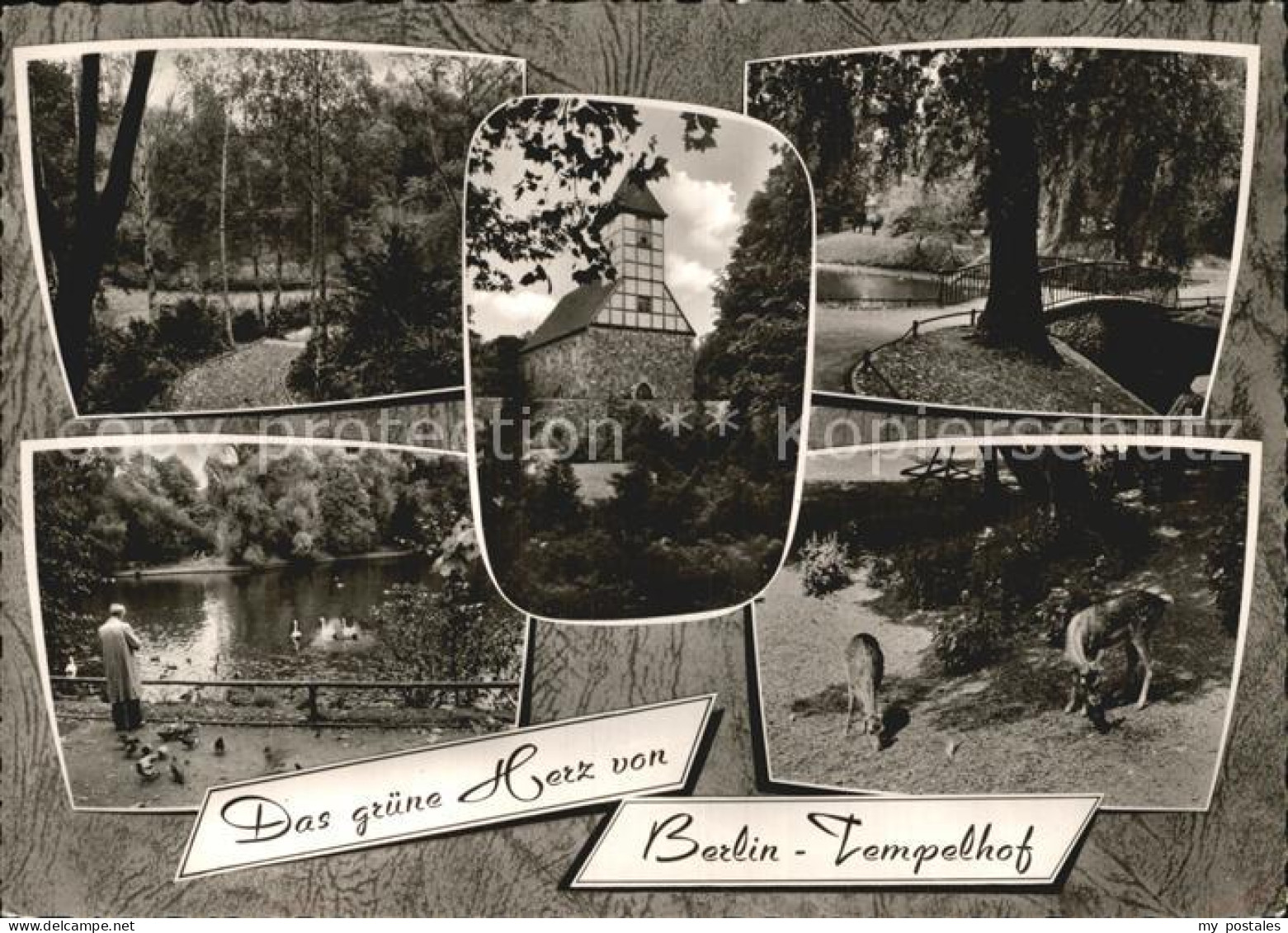 Tempelhof Berlin Tierpark