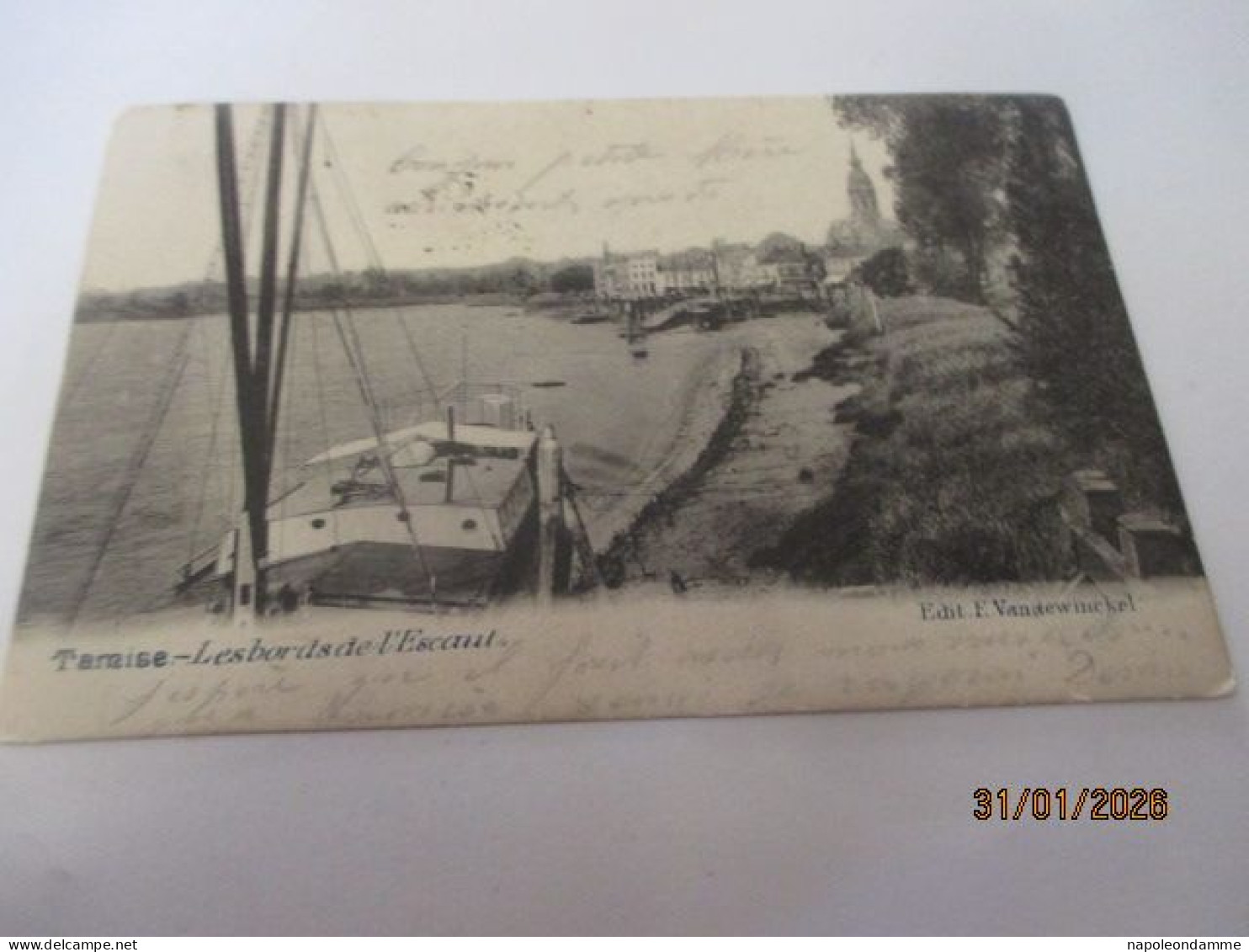 Temse, Les bords de l'Escaut