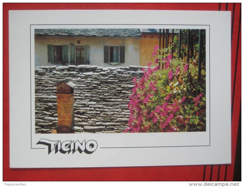 (Tenero (TI)) - Ticino pittoresco