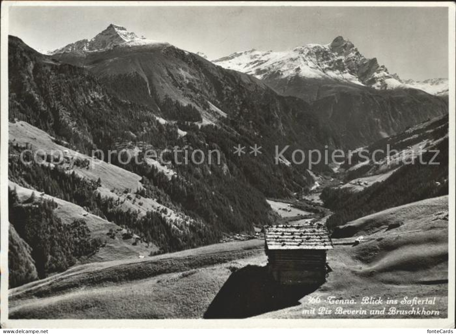 Tenna Safiertal