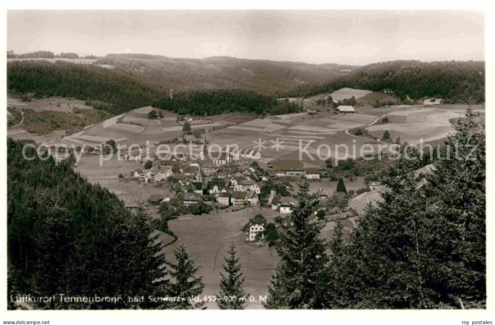 Tennenbronn Schramberg BW Panorama