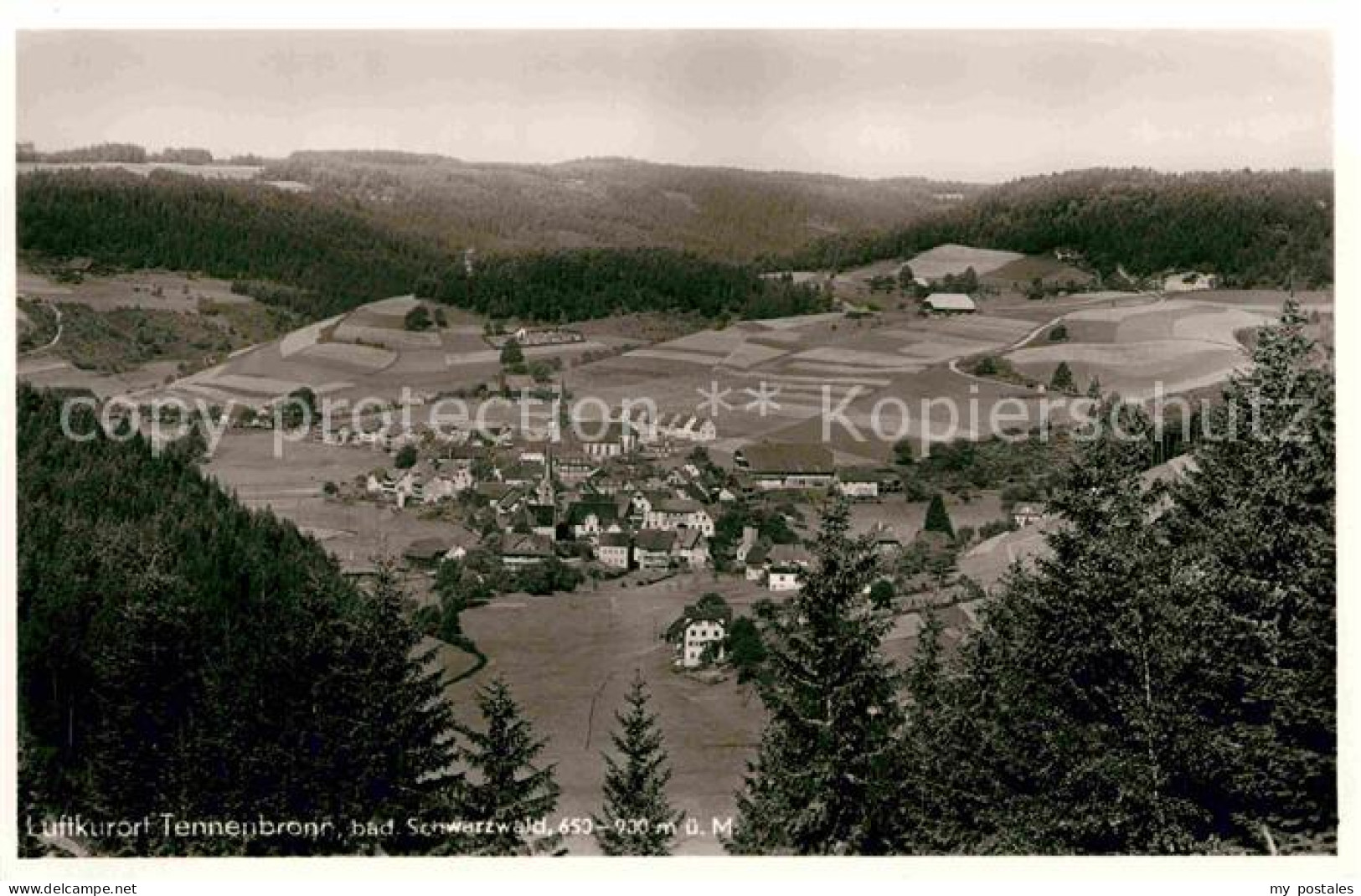 Tennenbronn Schramberg BW Panorama