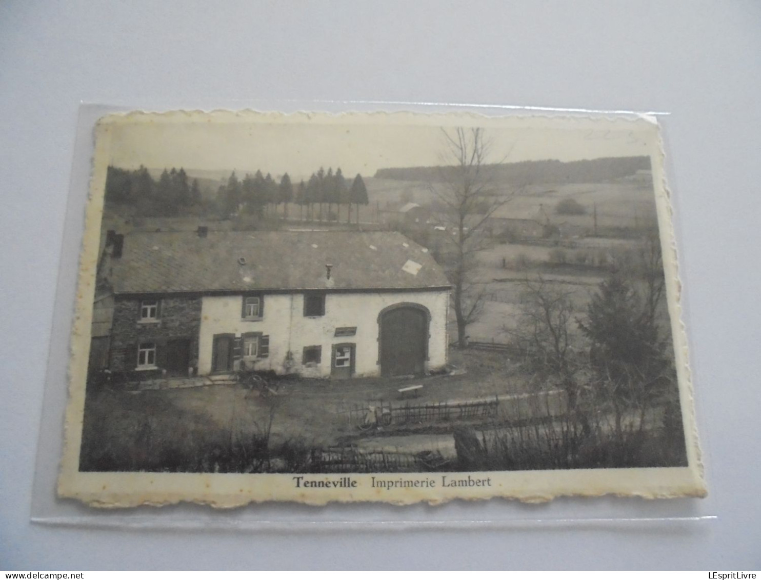 TENNEVILLE Imprimerie Lambert Carte Postale  Postcard CP PK