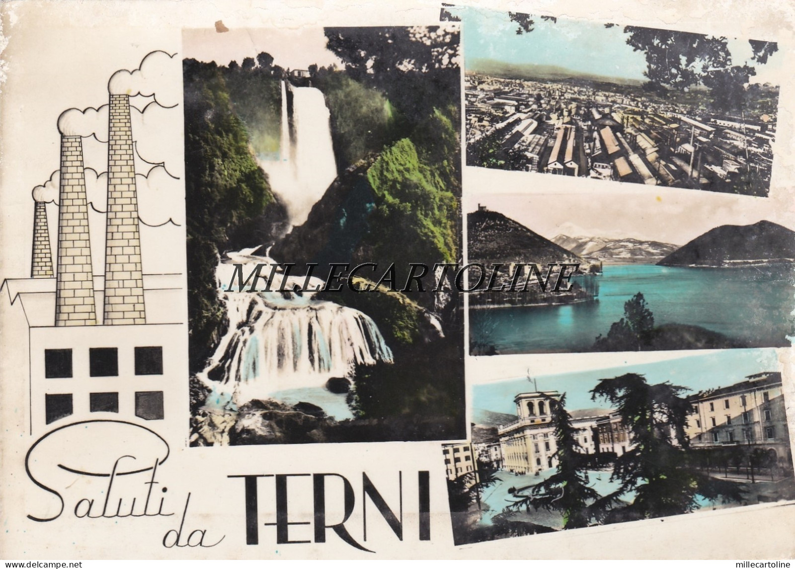 TERNI:  Saluti da -    1957