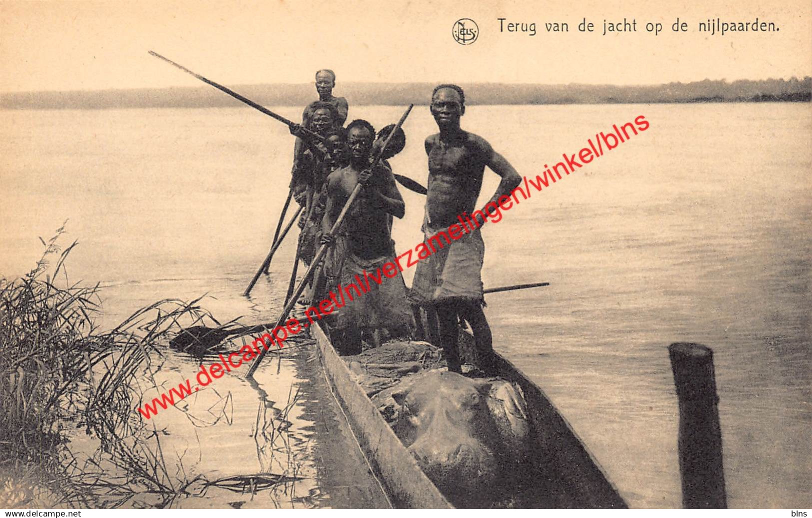 Terug van de jacht op nijlpaarden - Congo Belge Belgisch Kongo