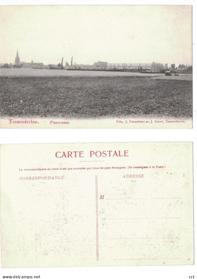 Tessenderloo  Tessenderlo    Panorama