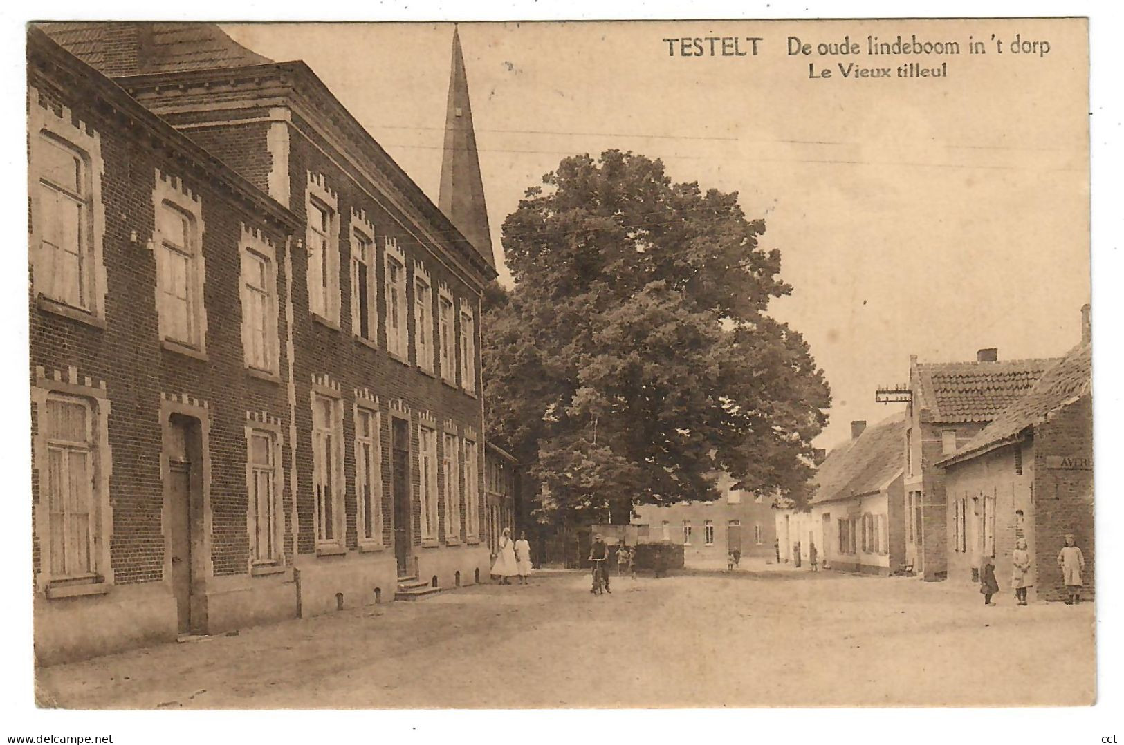 Testelt  Scherpenheuvel-Zichem    De oude lindeboom in 't dorp   Le Vieux tilleul