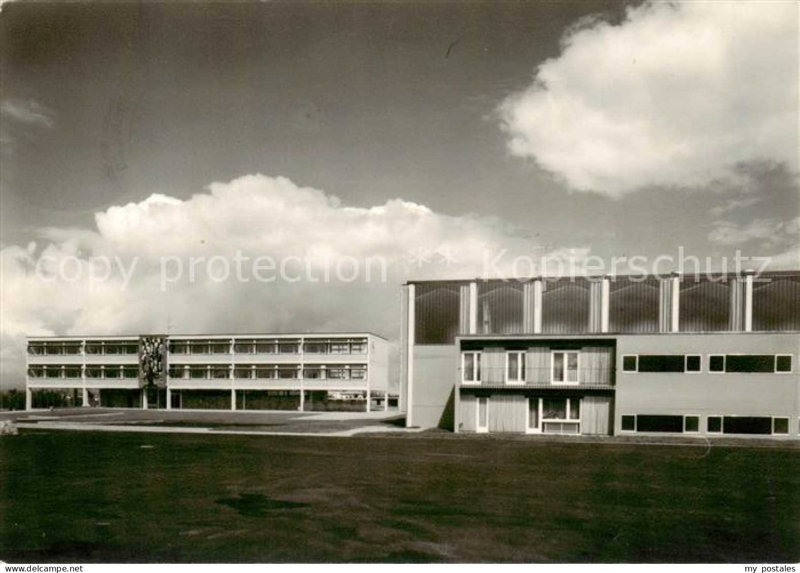 Tettnang Schule