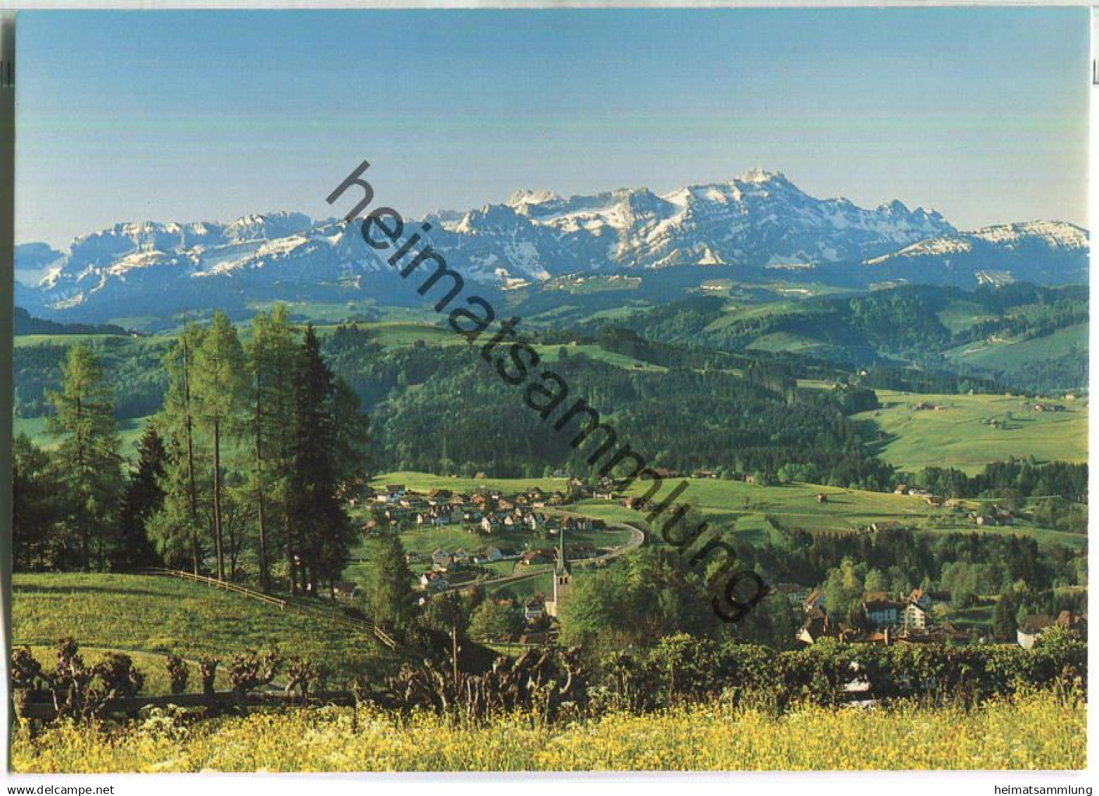 Teufen mit Alpstein - Verlag Foto Peter Teufen