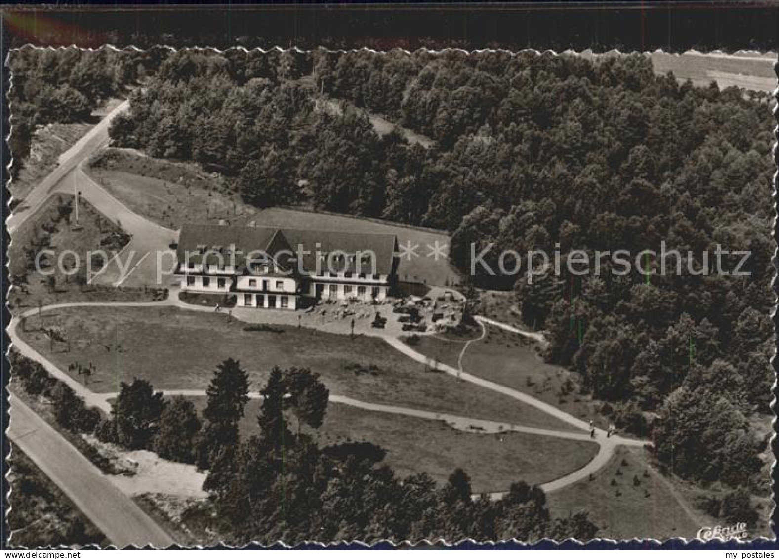 Teutoburgerwald Bergheim Hoerste