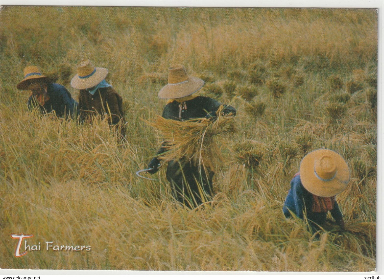 Thai Farmers