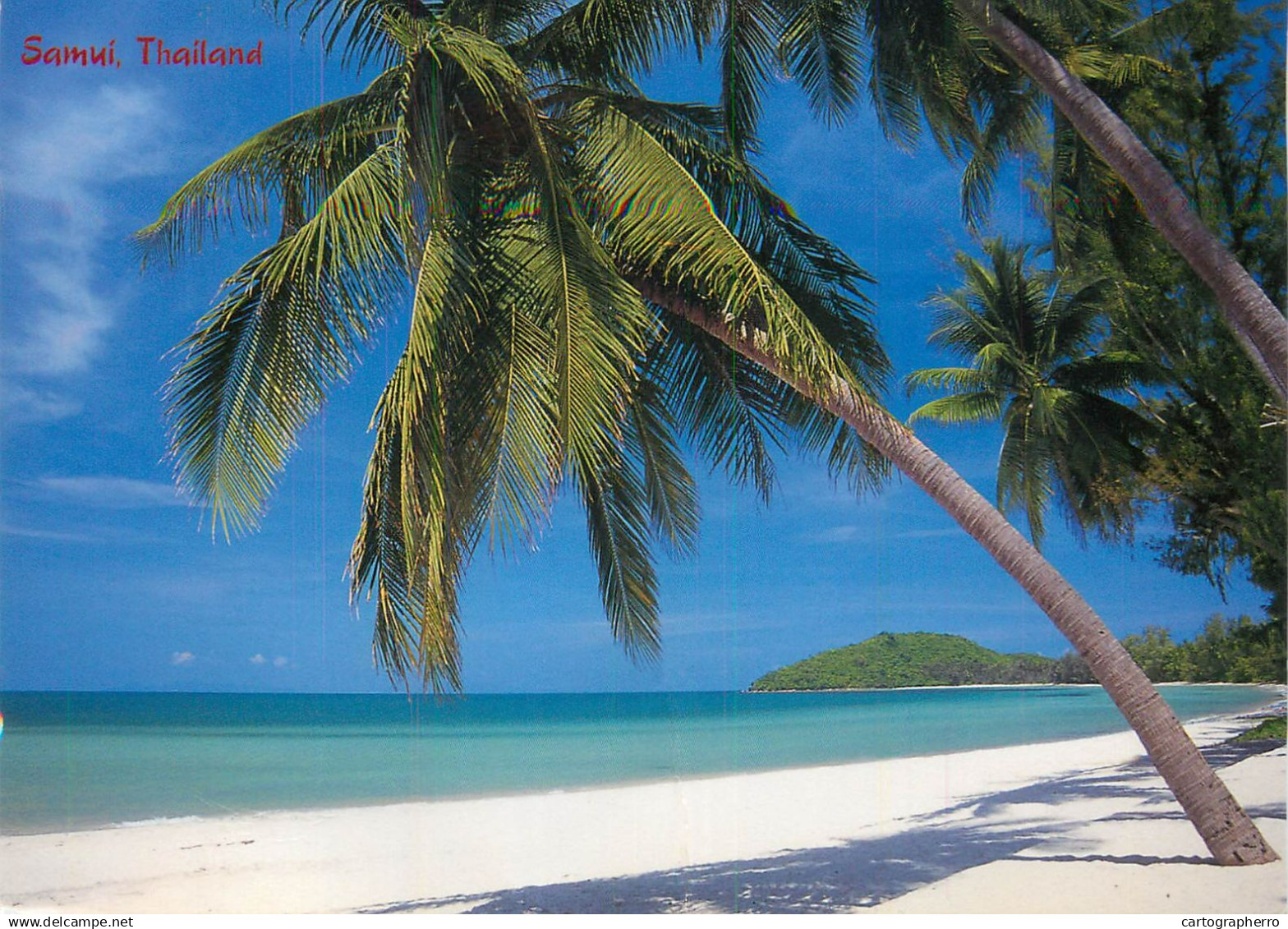 Thailand West Coast Koh Samui beach and palm trees