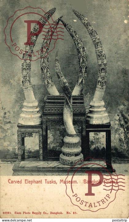 TAILANDIA. THAILANDE. SIAM. CARVED ELEPHANT TUSKS, MUSEUM, BANGKOK