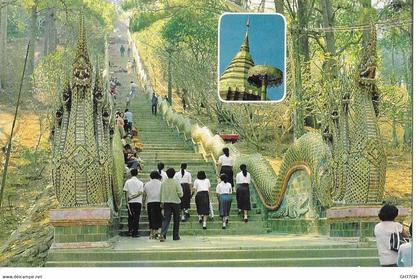 CP THAILANDE -temple chiengmai