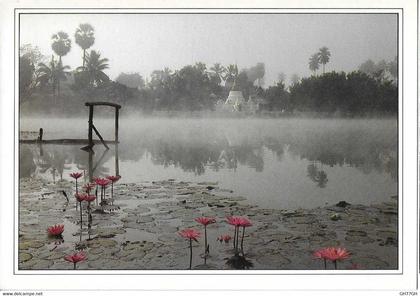 CP THAILANDE -view of chiang mai