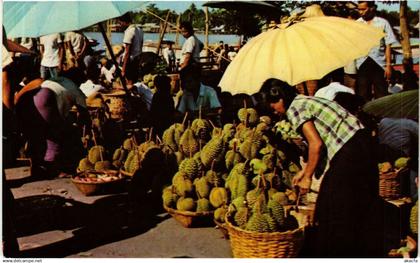 CPM THAILAND Nonburi Thailand: most delicious fruits of Thailand (345162)