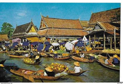 LOT 24 CP THAILANDE