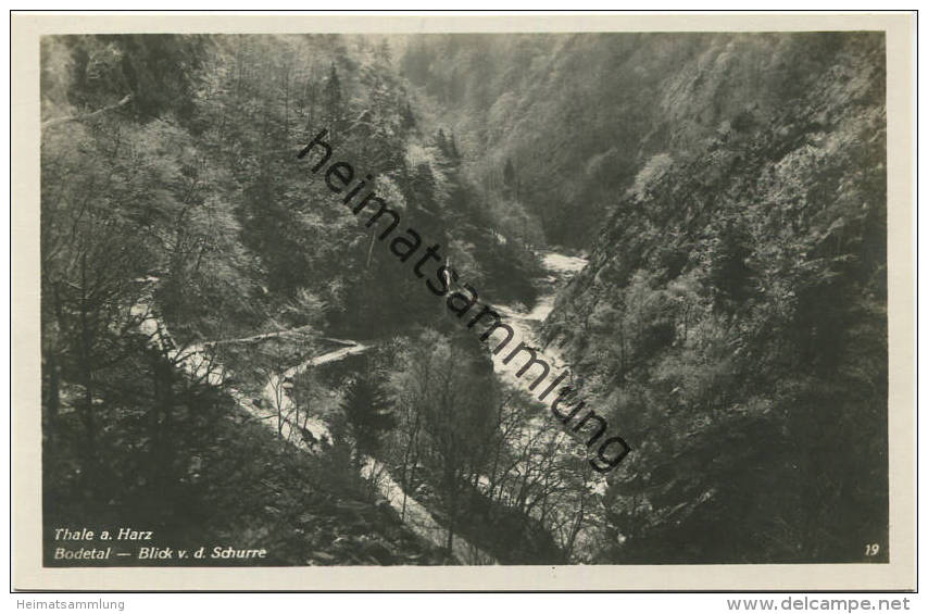 Thale - Bodetal - Blick von der Schurre - Foto-AK 30er Jahre - Verlag Hermann Leiste Thale