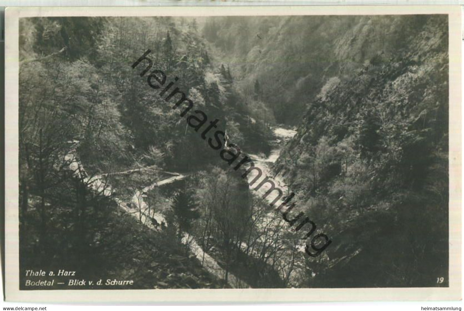 Thale - Bodetal - Blick von der Schurre - Foto-Ansichtskarte - Verlag Hermann Leiste Thale