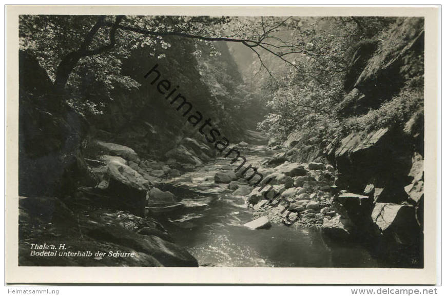 Thale - Bodetal unterhalb der Schurre - Foto-AK 30er Jahre - Verlag Photohaus Hermann Leiste Thale