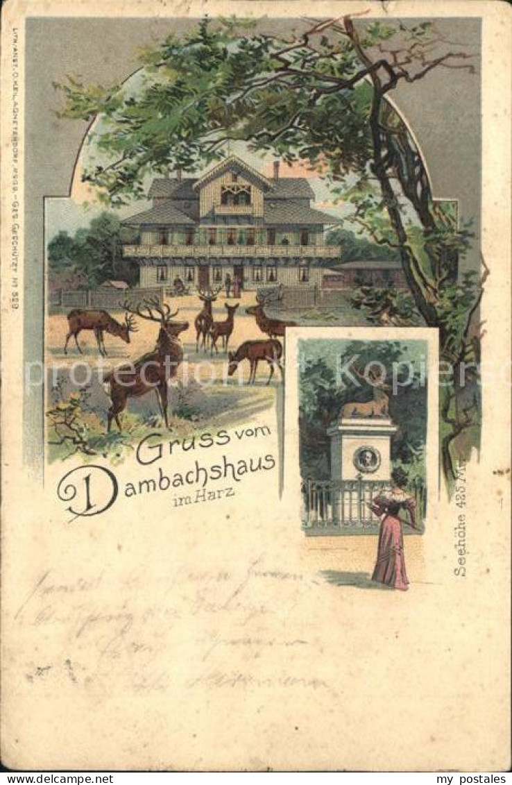 Thale Harz Dambachshaus