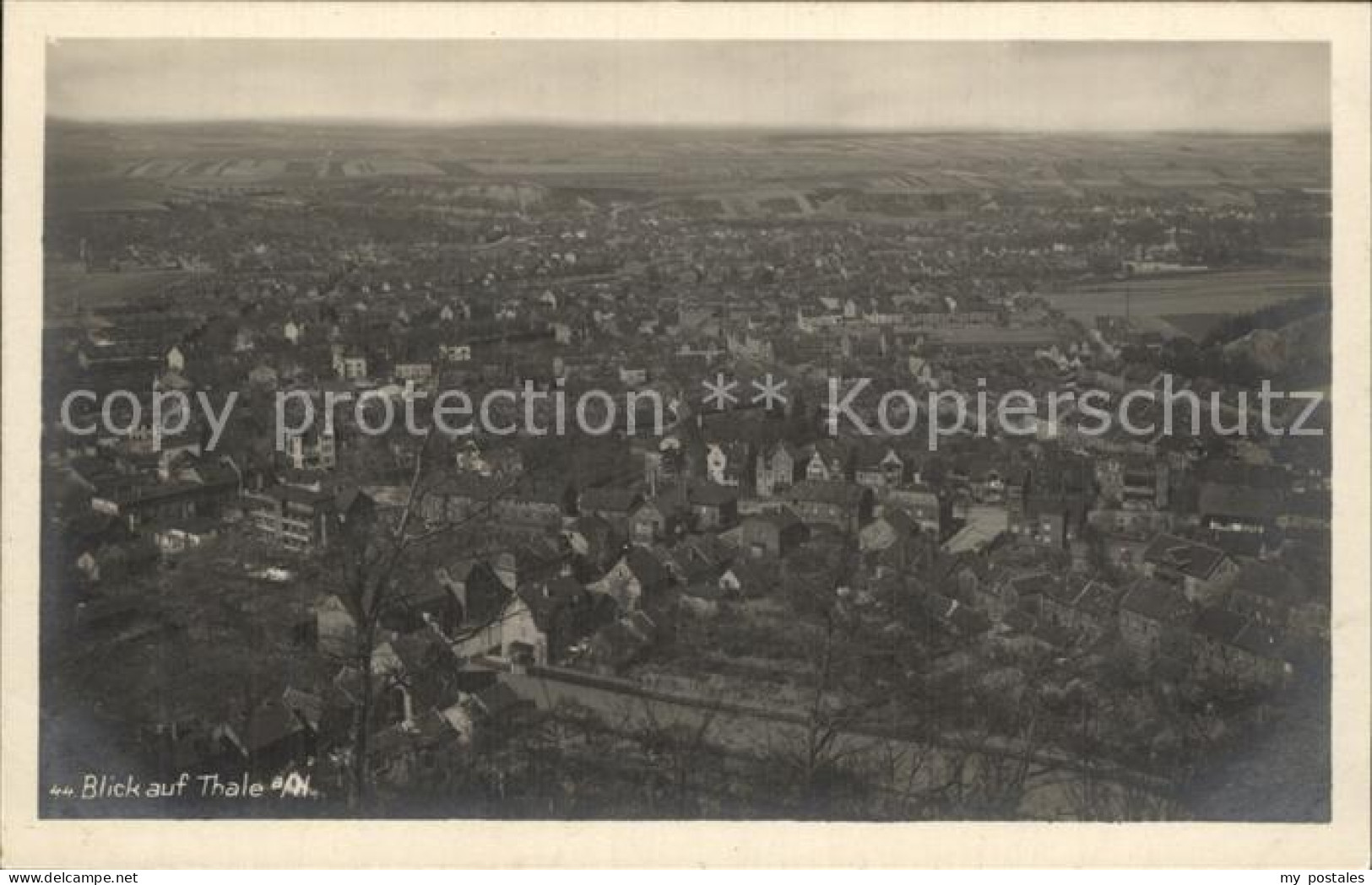 Thale Harz Panorama