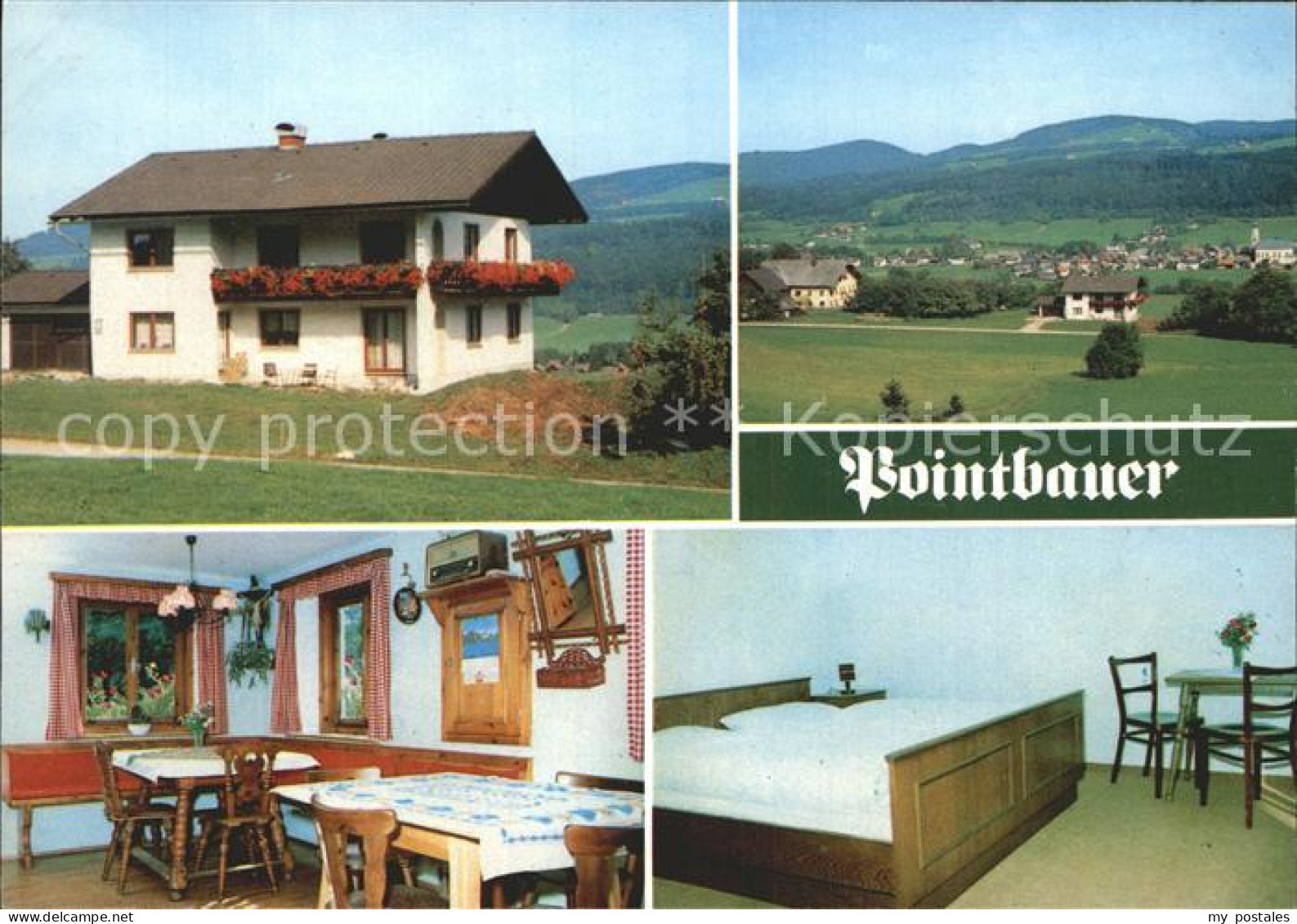 Thalgau Bergbauernhof Pointbauer