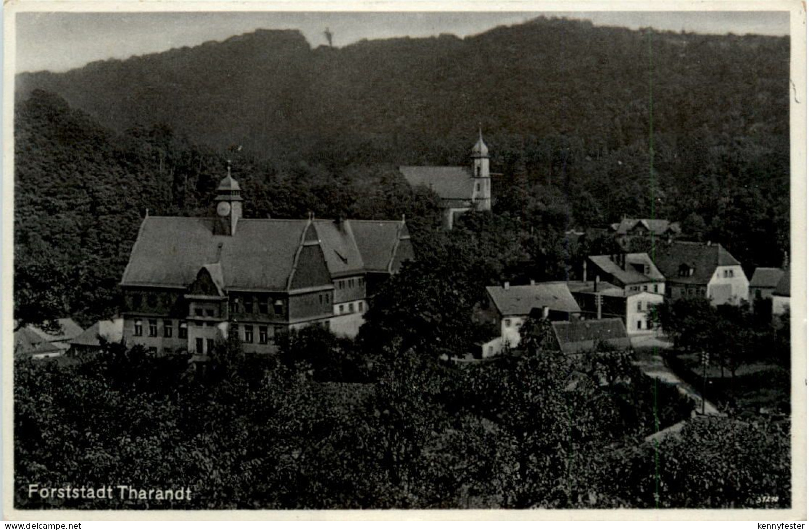Tharandt, Forststadt
