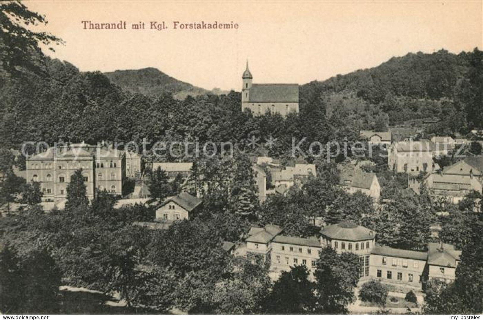 Tharandt Koenigliche Forstakademie