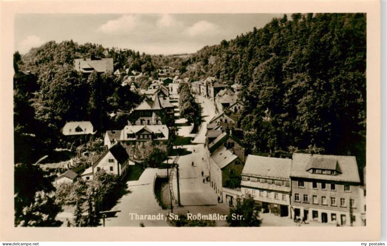 Tharandt Rossmaessler Strasse