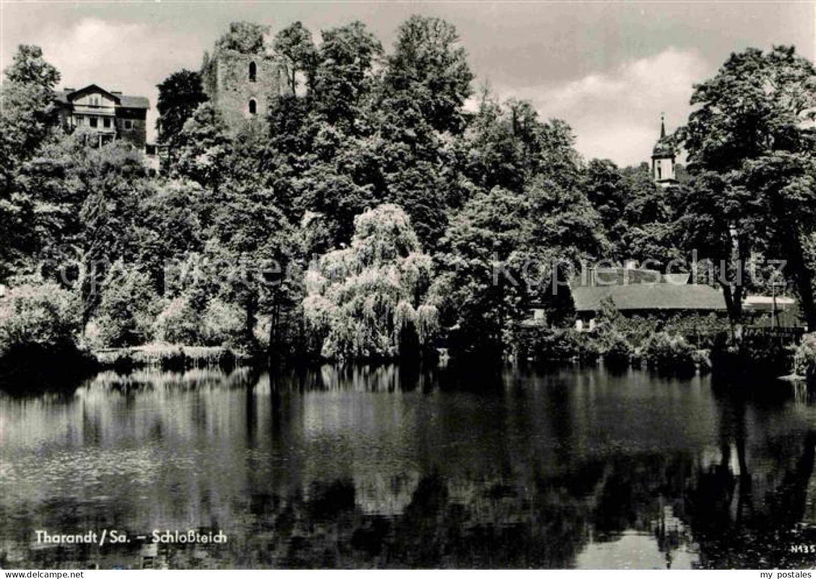 Tharandt Schlossteich