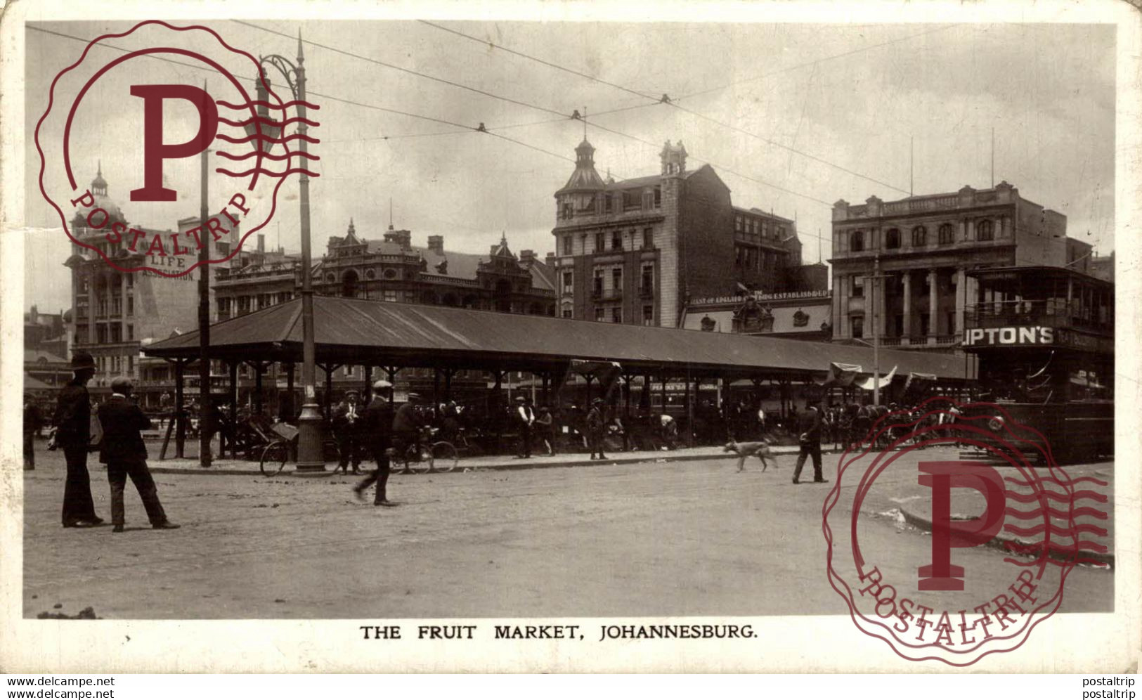 THE FRUIT MARKET JOHANNESBURG  South Africa Sudáfrica