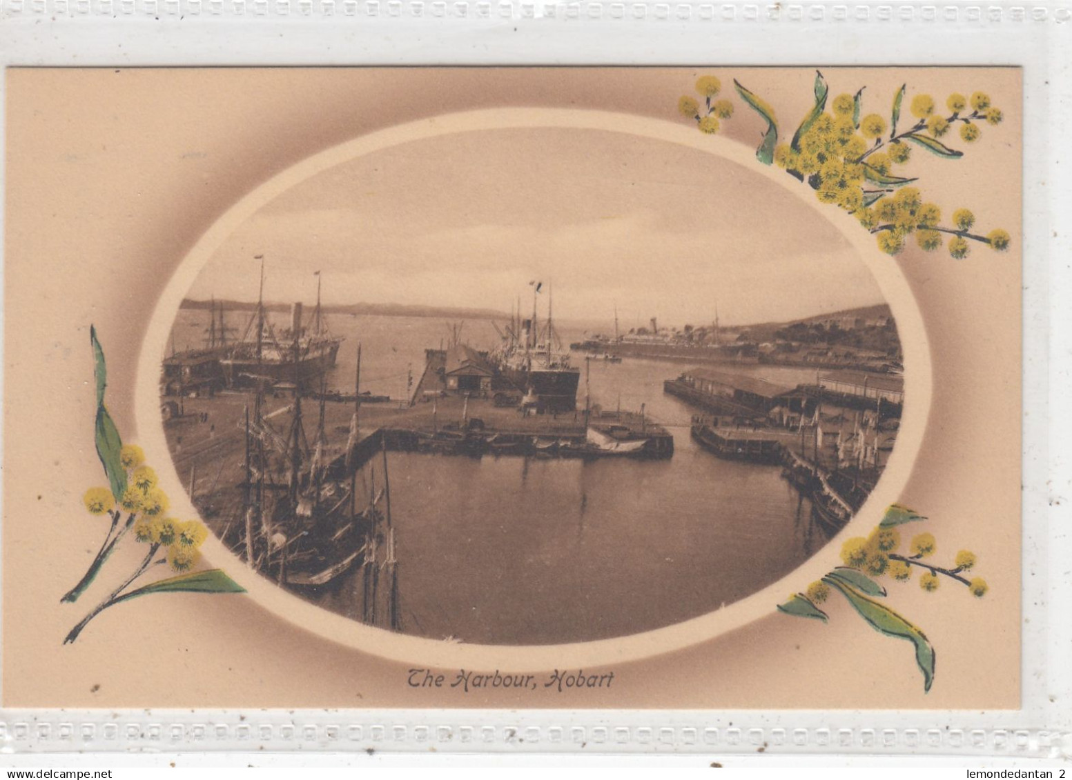 The Harbour, Hobart.  *