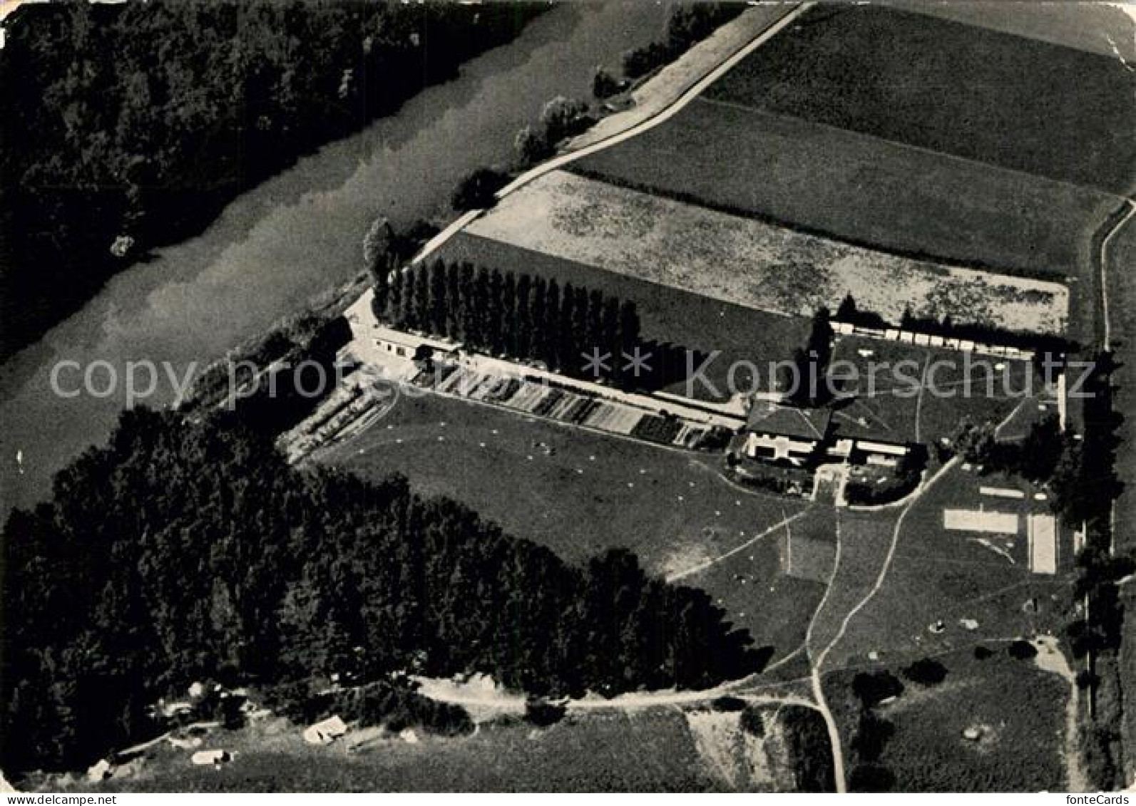 Thielle Heim Gelaende