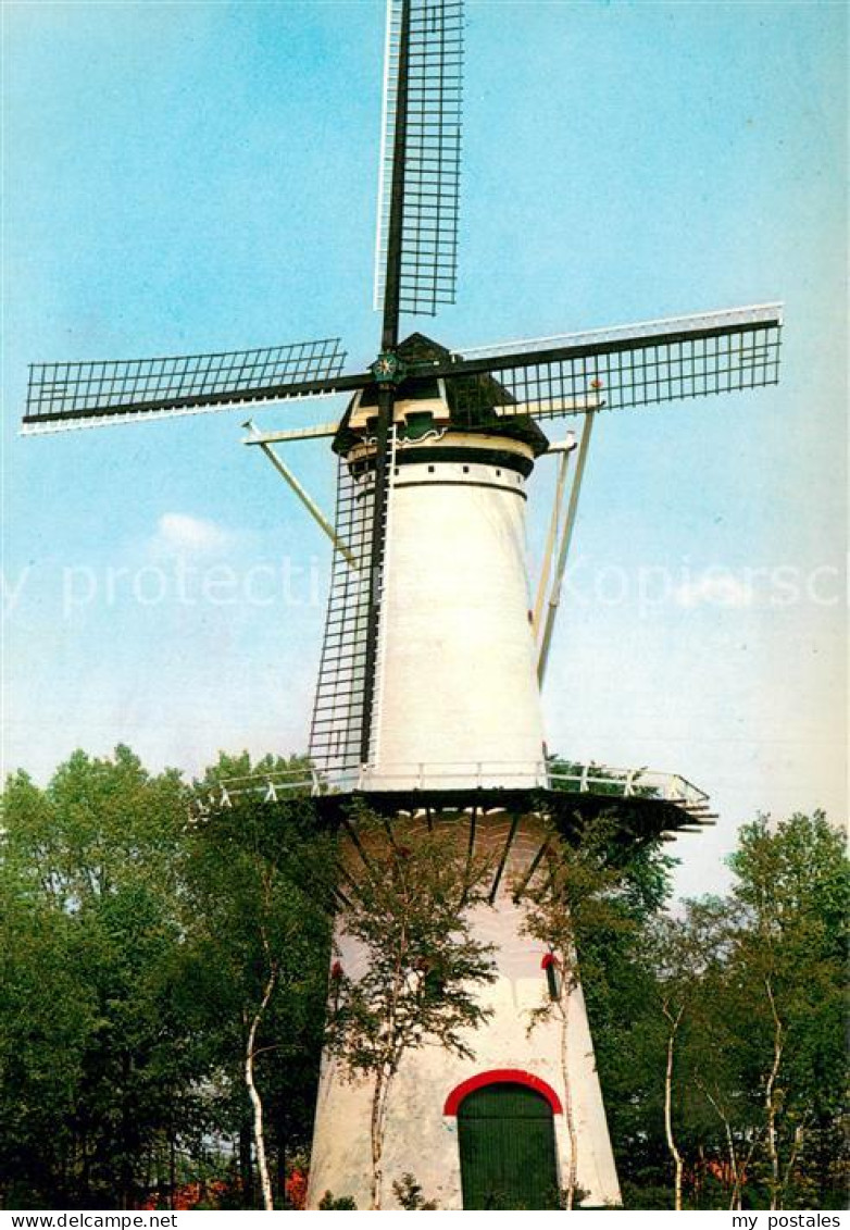 Tholen Korenmolen