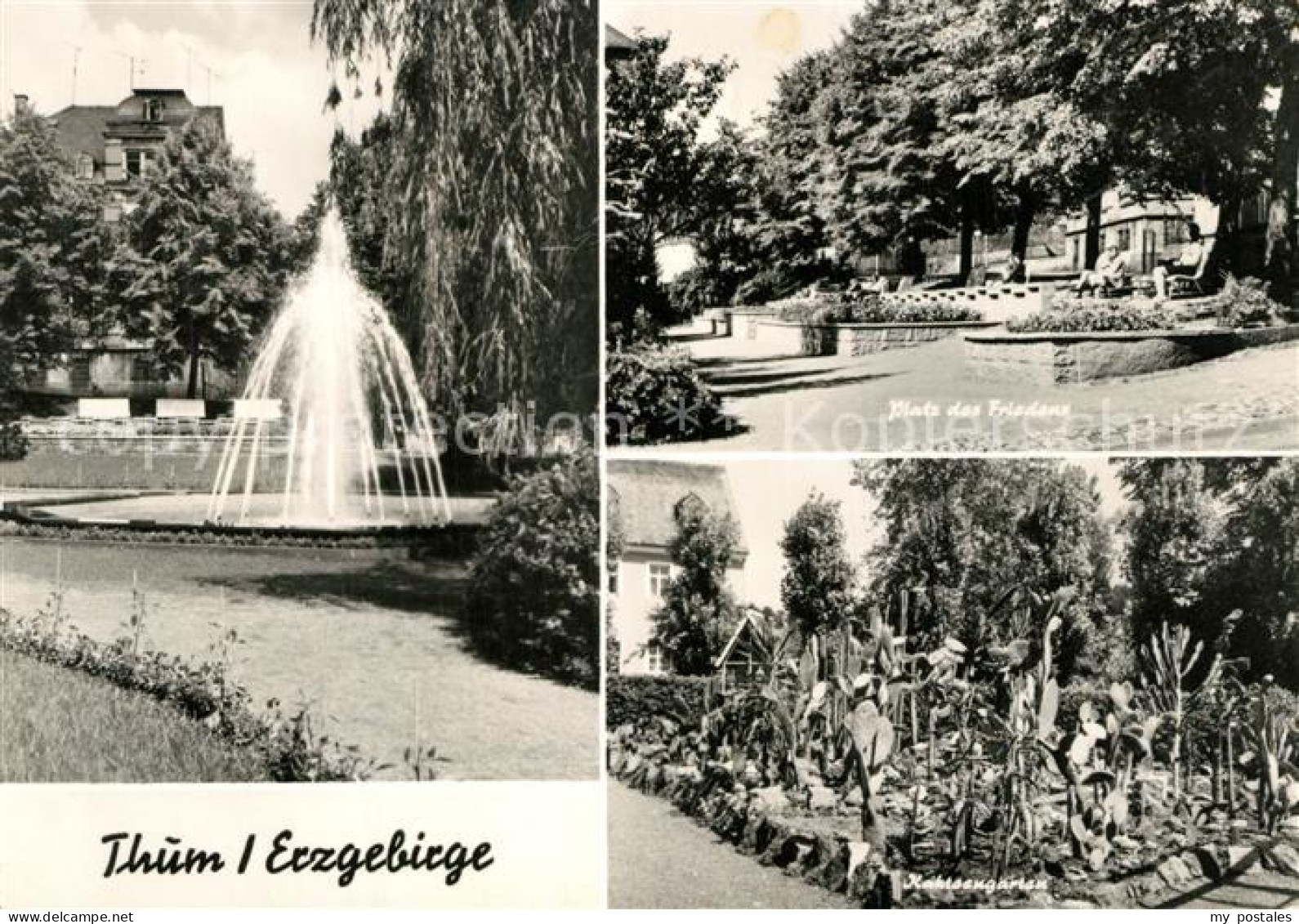 Thum Erzgebirge Platz des Friedens Kakteengarten