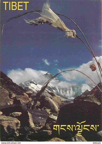 Tibet - Montagnes Tibetaines - CPM - Carte Neuve - Voir Scans Recto-Verso