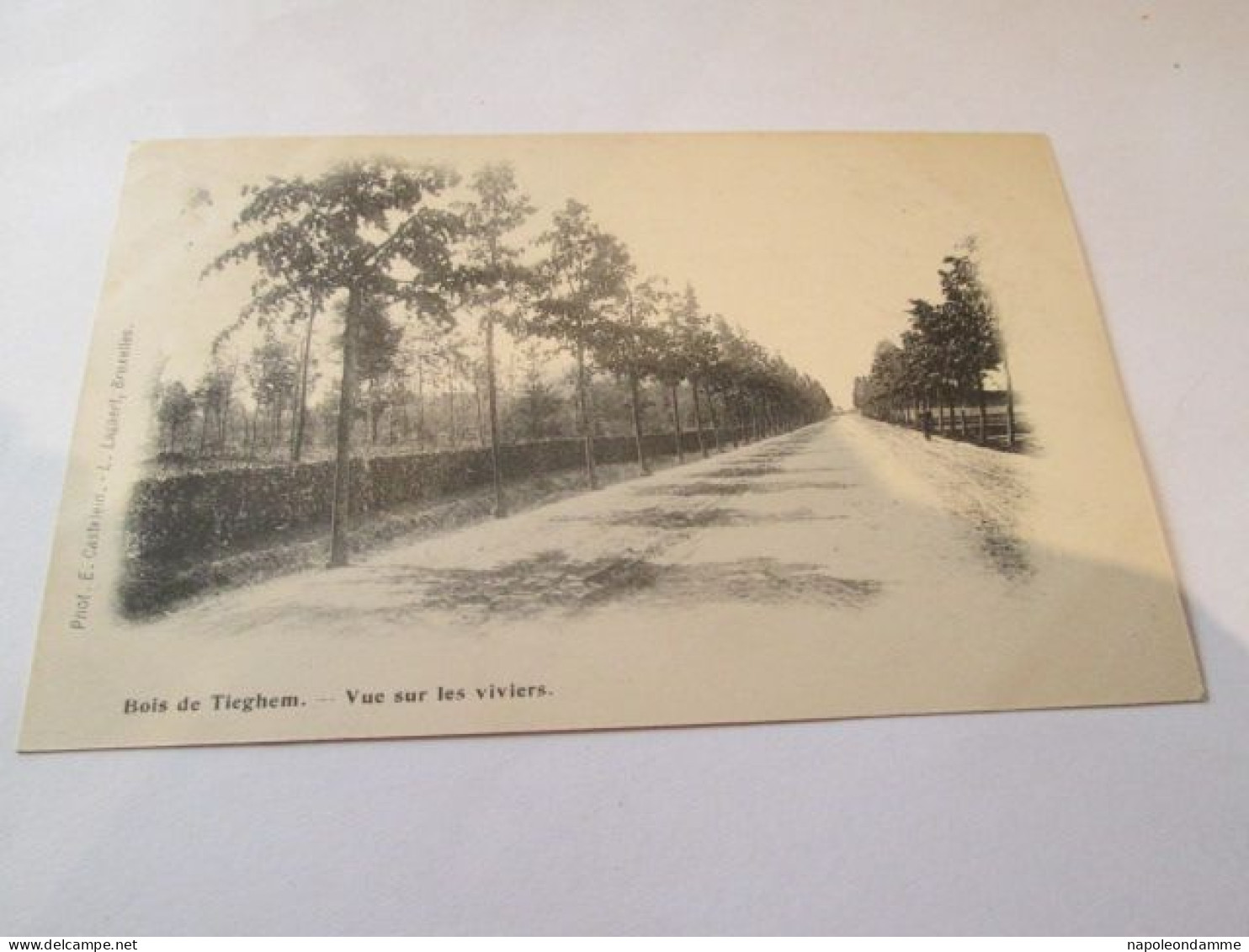 Tieghem, Vue sur les viviers