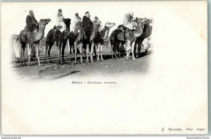 10301225 - Photo J. Geiser  Chameaux coureurs aus Mehara Volkstypen   AK