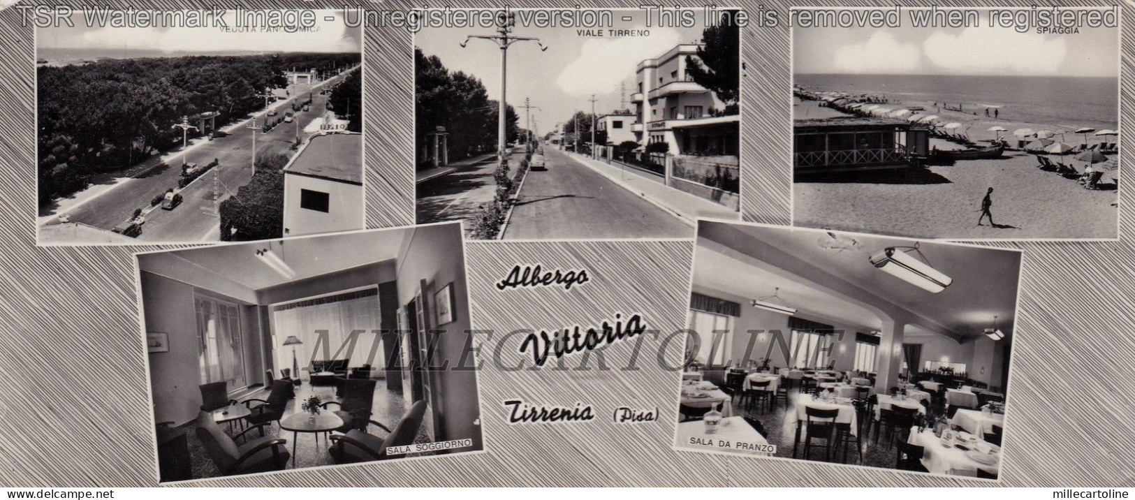 TIRRENIA: Albergo Vittoria (maxi-cartolina)
