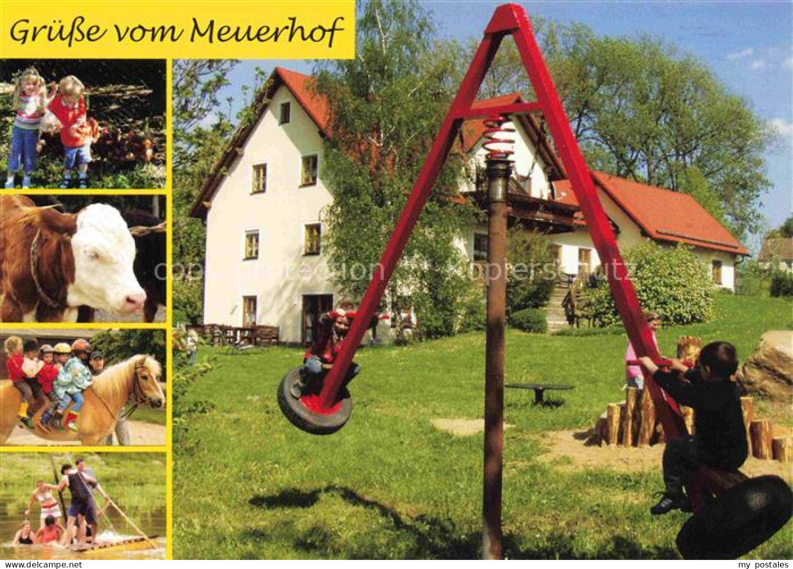 Tirschenreuth Bayern Meuerhof Kuh Pferd See