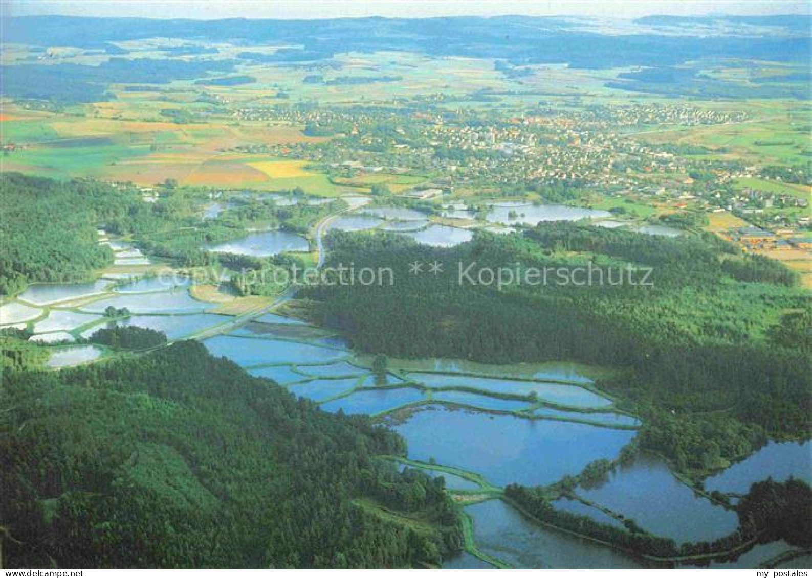 Tirschenreuth Grosse Teichpfanne