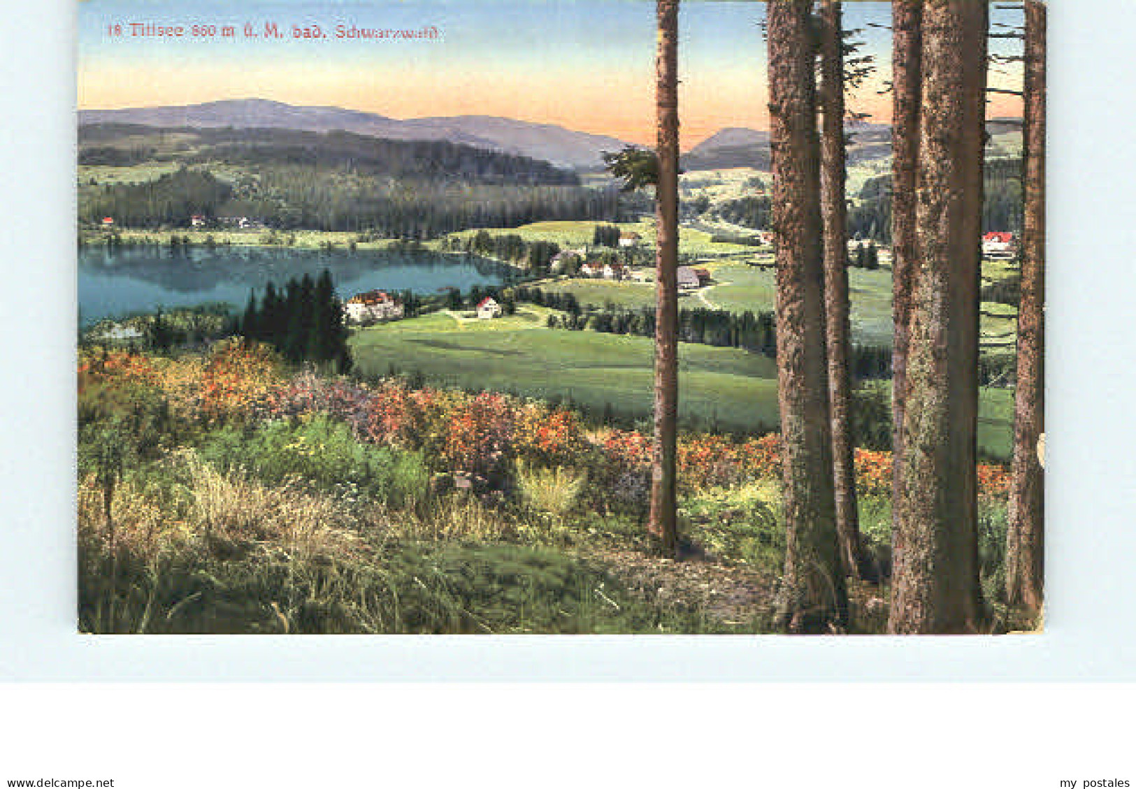 Titisee-Neustadt Titisee Neustadt